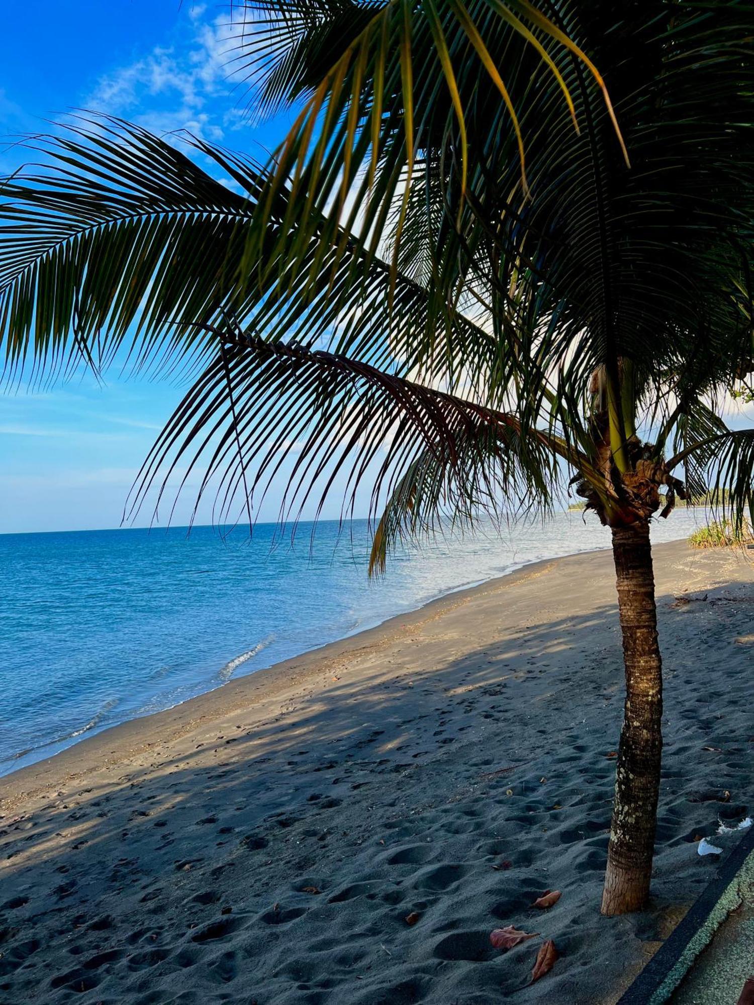 Rinjani Beach Eco Resort Tanjung  Luaran gambar